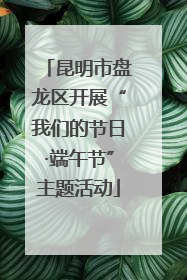昆明市盘龙区开展“我们的节日·端午节”主题活动