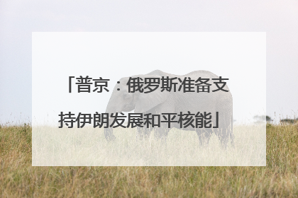 普京：俄罗斯准备支持伊朗发展和平核能