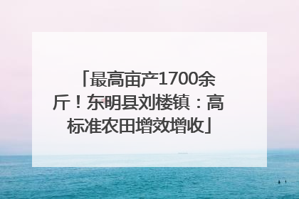 最高亩产1700余斤！东明县刘楼镇：高标准农田增效增收