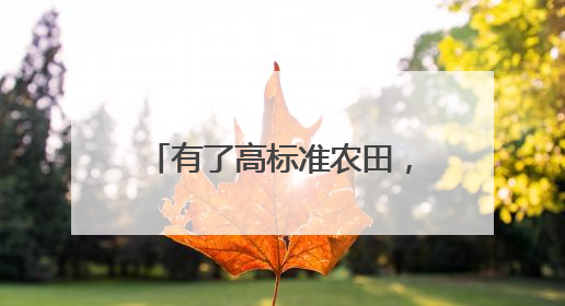 有了高标准农田，亩均纯利增六成（经济聚焦·夏收里的“新选手”）