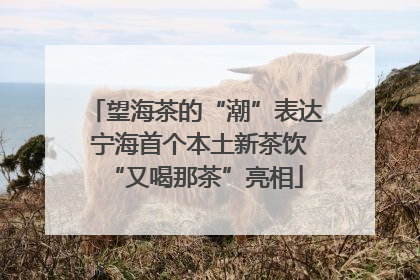 望海茶的“潮”表达 宁海首个本土新茶饮“又喝那茶”亮相