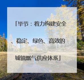 毕节：着力构建安全、稳定、绿色、高效的城镇燃气供应体系