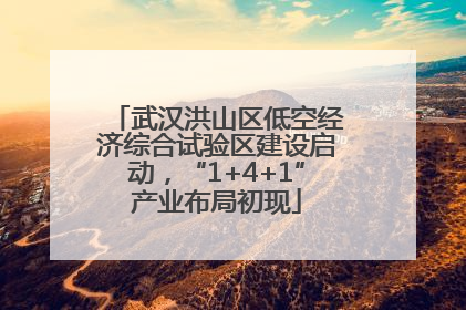 武汉洪山区低空经济综合试验区建设启动，“1+4+1”产业布局初现