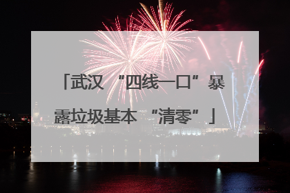 武汉 “四线一口”暴露垃圾基本 “清零”