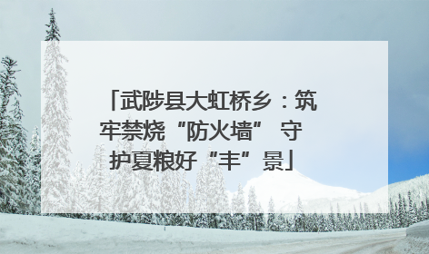 武陟县大虹桥乡：筑牢禁烧“防火墙” 守护夏粮好“丰”景
