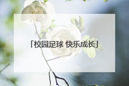 校园足球 快乐成长