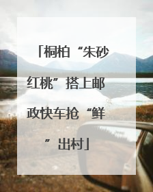 桐柏“朱砂红桃”搭上邮政快车抢“鲜”出村