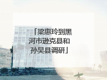 梁惠玲到黑河市逊克县和孙吴县调研