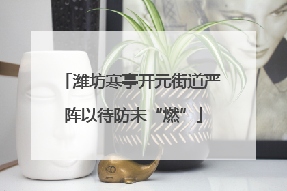 潍坊寒亭开元街道严阵以待防未“燃”