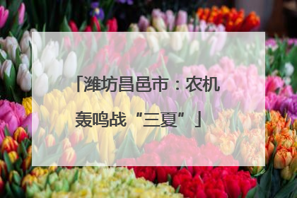 潍坊昌邑市：农机轰鸣战“三夏”