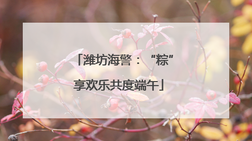 潍坊海警：“粽”享欢乐共度端午