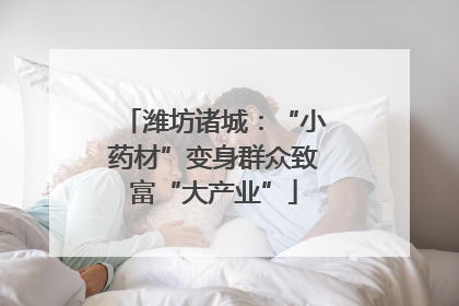 潍坊诸城：“小药材”变身群众致富“大产业”