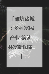潍坊诸城：乡村富民产业 绘就共富新图景