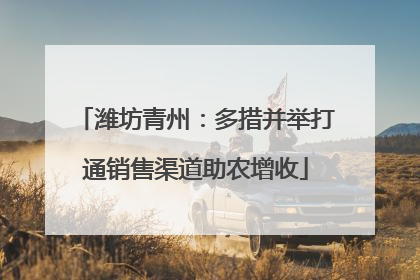 潍坊青州：多措并举打通销售渠道助农增收