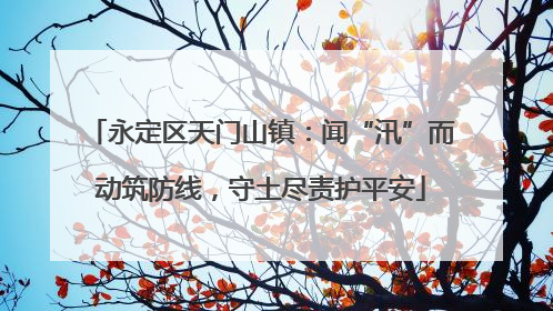 永定区天门山镇：闻“汛”而动筑防线，守土尽责护平安