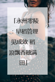 永州零陵：早稻管理见成效 稻浪飘香穗满田