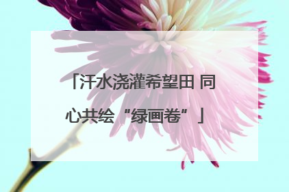 汗水浇灌希望田 同心共绘“绿画卷”
