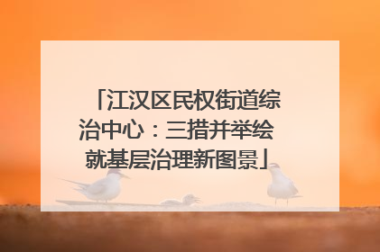 江汉区民权街道综治中心：三措并举绘就基层治理新图景