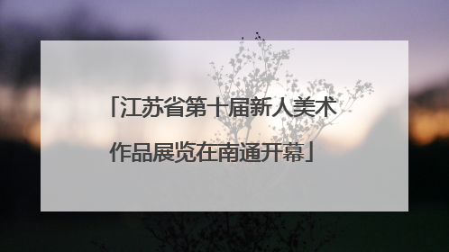 江苏省第十届新人美术作品展览在南通开幕