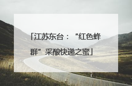 江苏东台：“红色蜂群”采酿快递之蜜