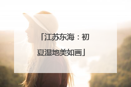 江苏东海：初夏湿地美如画