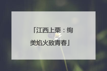 江西上栗：绚美焰火致青春