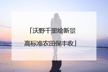 沃野千里绘新景 高标准农田保丰收