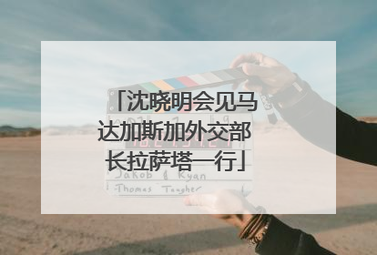 沈晓明会见马达加斯加外交部长拉萨塔一行