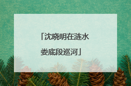 沈晓明在涟水娄底段巡河