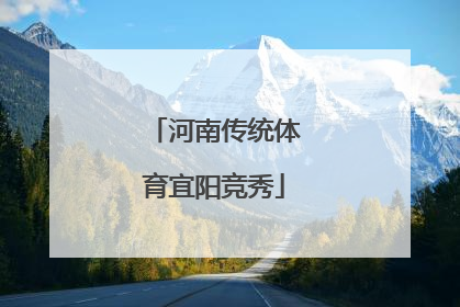 河南传统体育宜阳竞秀