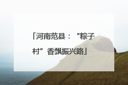 河南范县：“粽子村”香飘振兴路