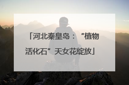 河北秦皇岛：“植物活化石”天女花绽放
