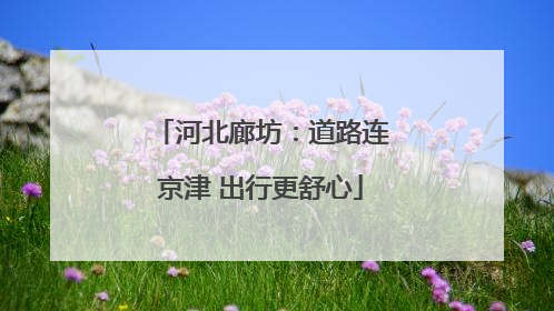 河北廊坊：道路连京津 出行更舒心
