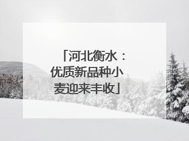 河北衡水：优质新品种小麦迎来丰收