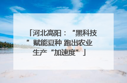 河北高阳：“黑科技”赋能夏种 跑出农业生产“加速度”