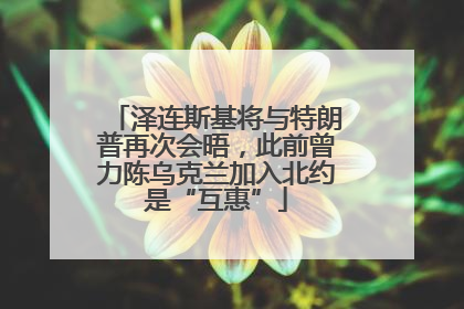 泽连斯基将与特朗普再次会晤，此前曾力陈乌克兰加入北约是“互惠”