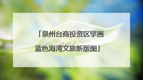 泉州台商投资区擘画蓝色海湾文旅新版图