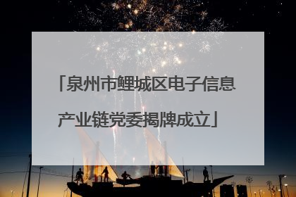 泉州市鲤城区电子信息产业链党委揭牌成立
