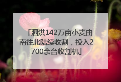 泗洪142万亩小麦由南往北陆续收割，投入2700余台收割机