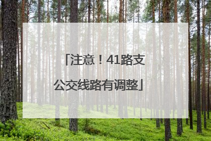 注意！41路支公交线路有调整
