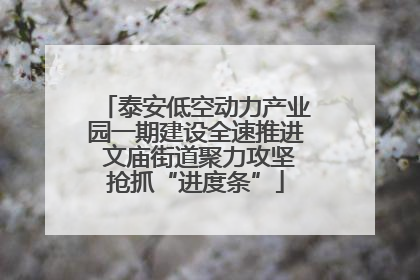 泰安低空动力产业园一期建设全速推进 文庙街道聚力攻坚抢抓“进度条”
