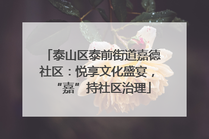 泰山区泰前街道嘉德社区：悦享文化盛宴，“嘉”持社区治理