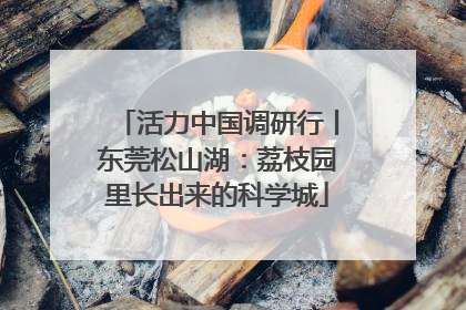 活力中国调研行丨东莞松山湖：荔枝园里长出来的科学城