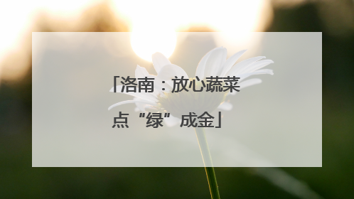 洛南：放心蔬菜点“绿”成金
