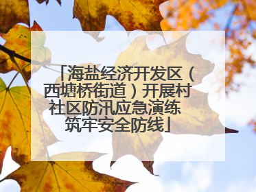 海盐经济开发区（西塘桥街道）开展村社区防汛应急演练 筑牢安全防线
