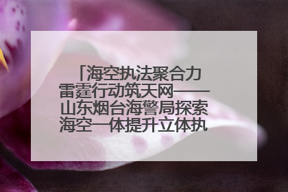 海空执法聚合力 雷霆行动筑天网——山东烟台海警局探索海空一体提升立体执法效能纪实