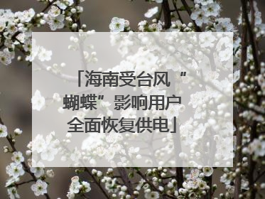 海南受台风“蝴蝶”影响用户全面恢复供电