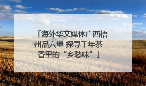 海外华文媒体广西梧州品六堡 探寻千年茶香里的“乡愁味”