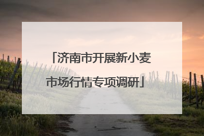 济南市开展新小麦市场行情专项调研