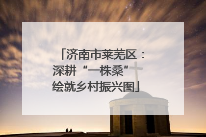济南市莱芜区：深耕“一株桑” 绘就乡村振兴图